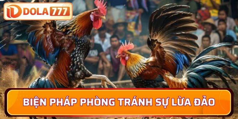 Biện pháp phòng tránh sự lừa đảo
