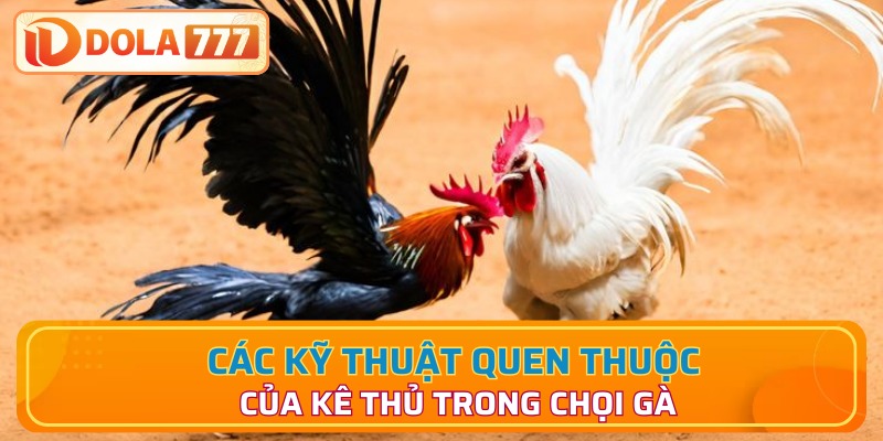 Các kỹ thuật có mặt trong chọi Thomo C2