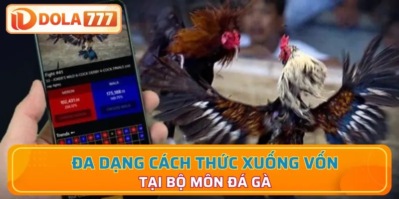 Cách thức xuống vốn đa dạng