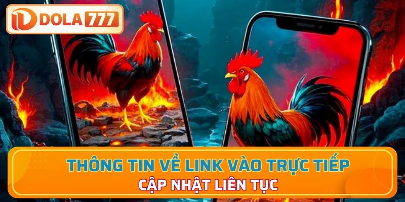 Cập nhật thông tin link liên tục