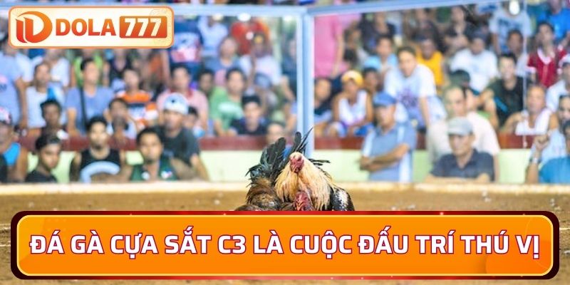 Đá gà cựa sắt C3 là cuộc đấu trí thú vị