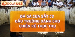 Đá gà cựa sắt
