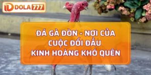 đá gà đòn