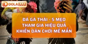 Đá gà thái