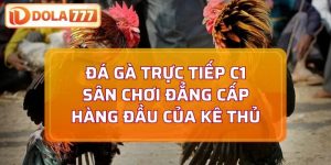 Trực tiếp đá gà c1
