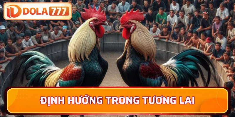 Định hướng trong tương lai cho nền tảng Dola777