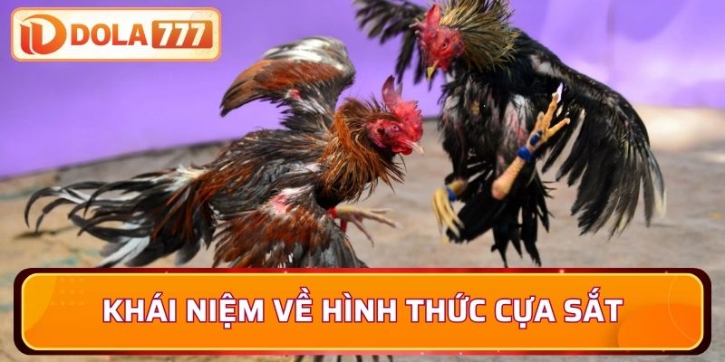 Khái niệm về hình thức cựa sắt