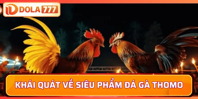 Khái quát về siêu phẩm đá gà Thomo hot hit