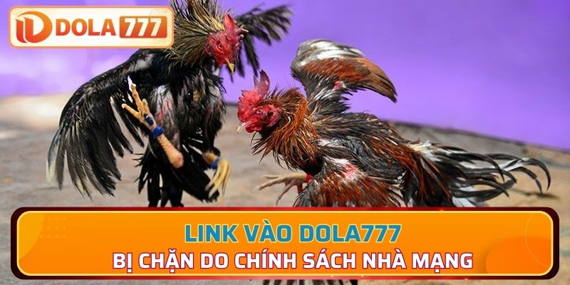 Link Dola777 bị chặn vì các chính sách cơ bản của nhà mạng