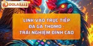 link vào trực tiếp đá gà Thomo