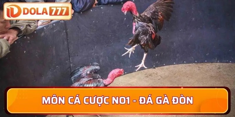 Môn cá cược No1 - Đá gà đòn
