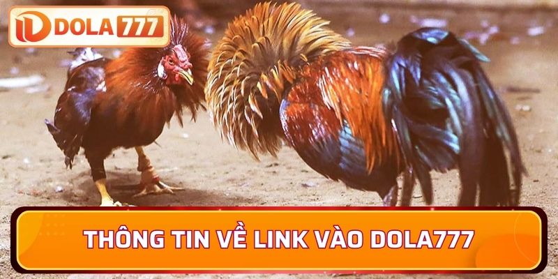 Sơ lược thông tin về các loại link vào Dola777