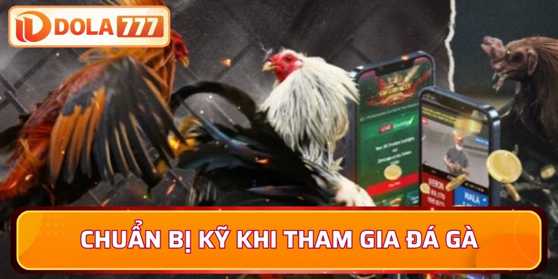 Thông tin cần nắm bắt khi tham gia chọi kê thủ Thomo C2