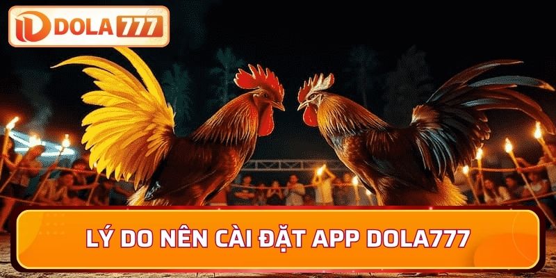 Tổng hợp lý do thuyết phục người chơi tải app Dola777