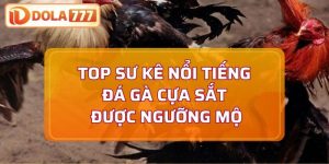top sư kê nổi tiếng đá gà cựa sắt
