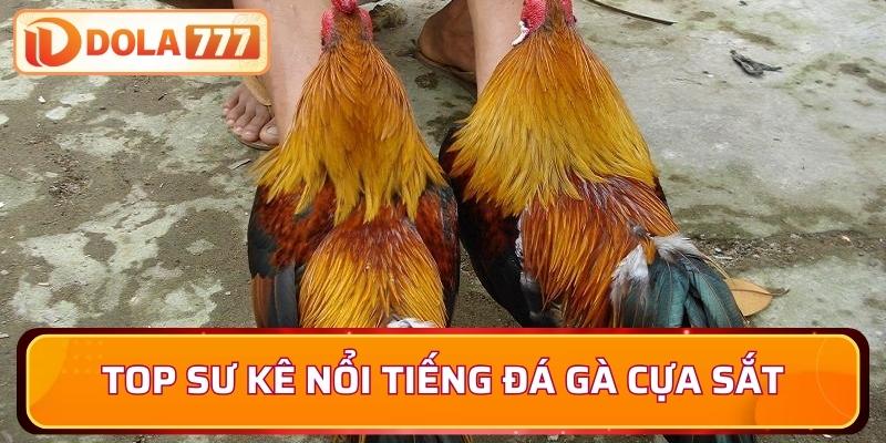 Top sư kê nổi tiếng đá gà cựa sắt được biết đến
