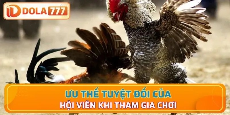 Ưu thế tuyệt đối khi tham gia trải nghiệm